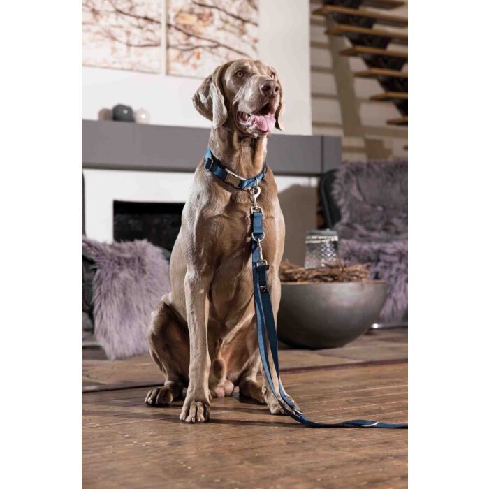 Dogs Trainingsriem Anam Cara nylon hondenriem in petrol, verstelbaar in 3 lengtes en 200 cm lang. Stevig, reflecterend en ideaal voor training en wandelen.
