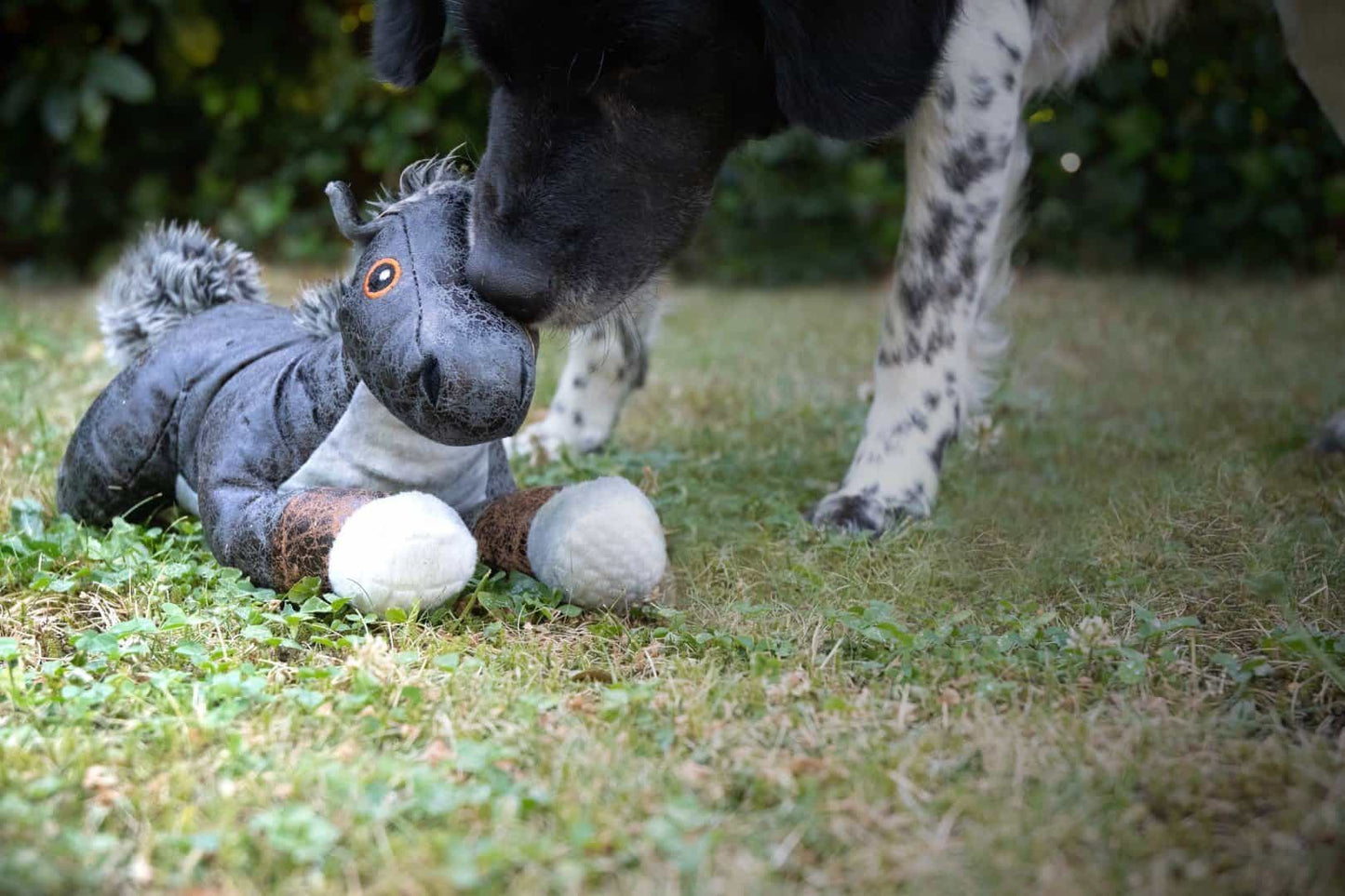 Elegant Horse Bruin hondenspeelgoed kopen? Luxe knuffel van skai leer, fleece en pluche met pieper voor speelplezier. Dubbel gestikt en duurzaam. Formaat 37 cm.