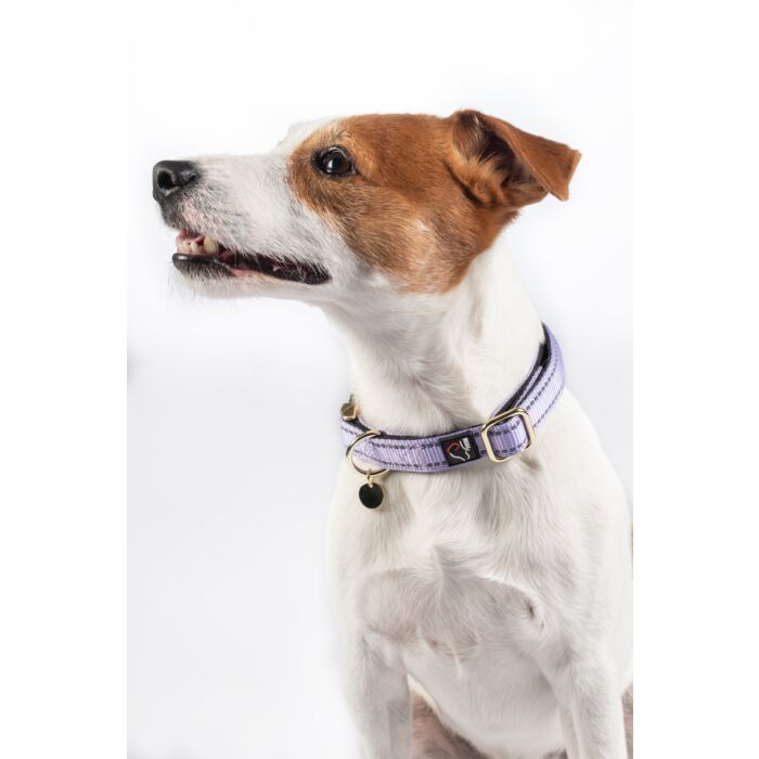 Hondenhalsband Ida – Nylon Lavendel. Comfortabel, oneindig verstelbaar, reflecterend en voorzien van softoprene voering en metalen sluiting. Verkrijgbaar in meerdere maten.
