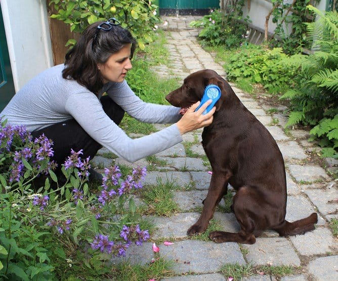 Magic Brush Dog Soft Ocean Blue hondenborstel kopen? Zachte borstel voor gevoelige honden en puppy’s. Wasbaar en duurzaam. Verkrijgbaar bij Livin Dog Shop.