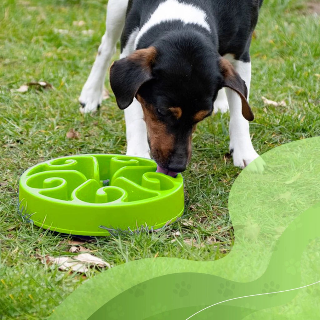 Anti-shock Food Bowl Eat Slow Live Longer Original Green