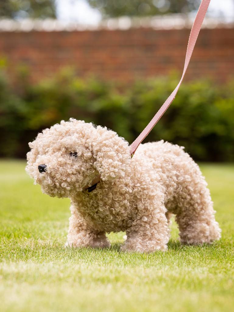 Lemieux Speelgoed Puppy Chester. LeMieux Toy Puppy Chester – Realistische Knuffelhond met Kennel. De LemIiex speelgoed puppy's zijn verkrijgbaar bij Livin Dog Shop! Dealer van LemIeux spoeelgoed honden voor uw kinderen of kleinkinderen. Foto speelgoed hond aan de lijn