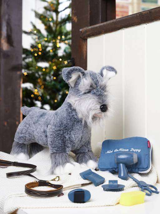 Toy Puppies en Accessoires