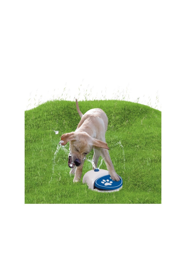 Verkoelingsproducten voor Honden en Puppy’s – Hondenzwembad & Splash Fontein | Livin Dog Shop