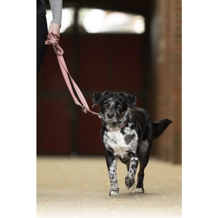 Dogs Training Leash Anam Cara – Nylon Dog Leash Terracotta | Reflective &amp; Sturdy 