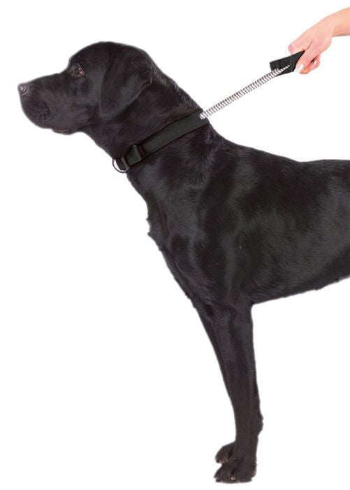 Patento Pet Sport Halsband Zwart