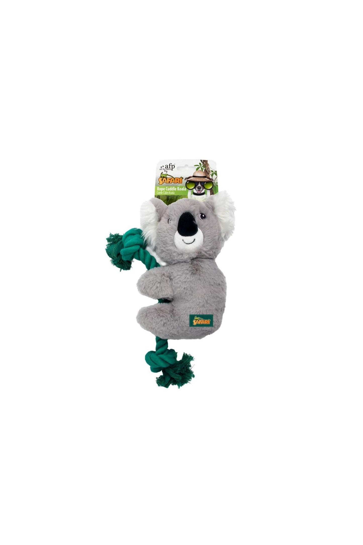 AFP Safari – Seilkuschel-Koala