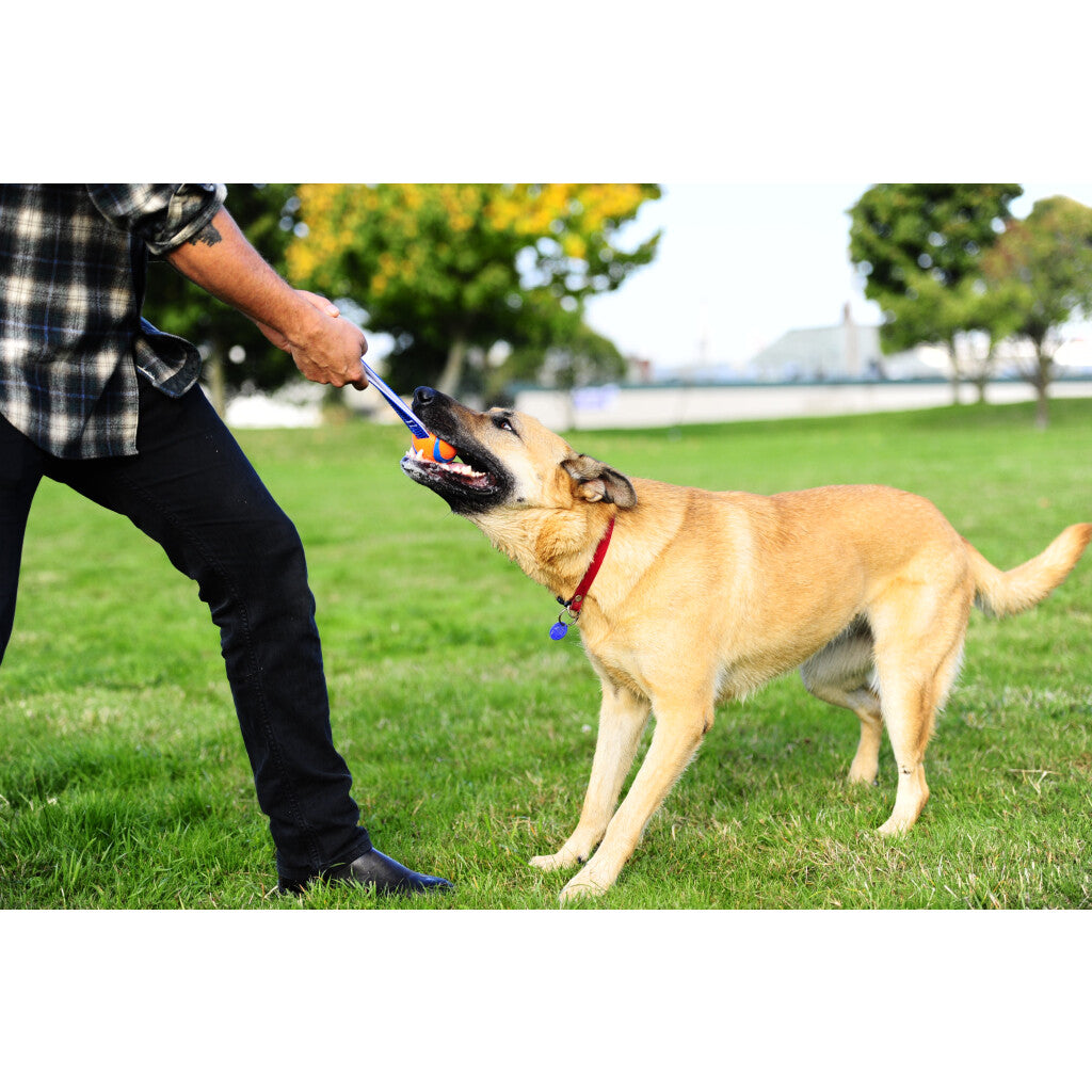 Chuckit! Ultra Tug – Sterke speelbal met trekband voor honden
