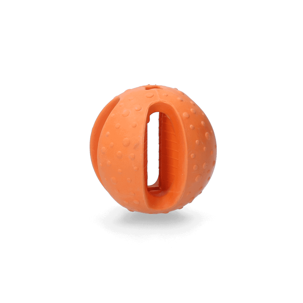 Dog Comets Polaris Oranje
