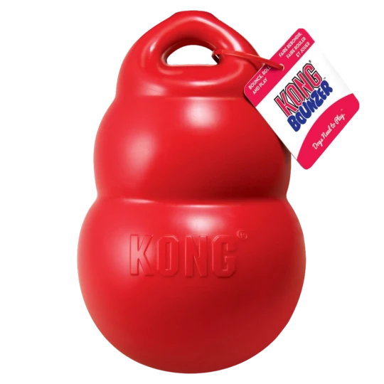 KONG BOUNZER