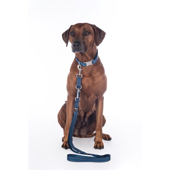 Dogs trainingsriem Anam Cara donkerblauw is een stevige nylon hondenriem van 200 cm, verstelbaar in drie standen en voorzien van reflecterende details. Ideaal voor hondentraining en wandelingen.