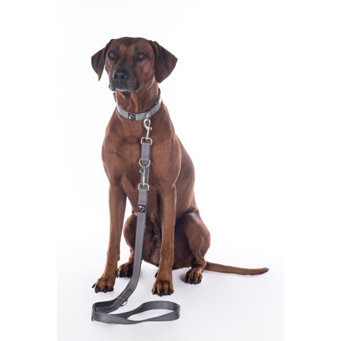Dogs trainingsriem Anam Cara steengrijs is een verstelbare nylon hondenriem van 200 cm met reflecterende details. Ideaal voor hondentraining en dagelijkse wandelingen met optimale controle en comfort.