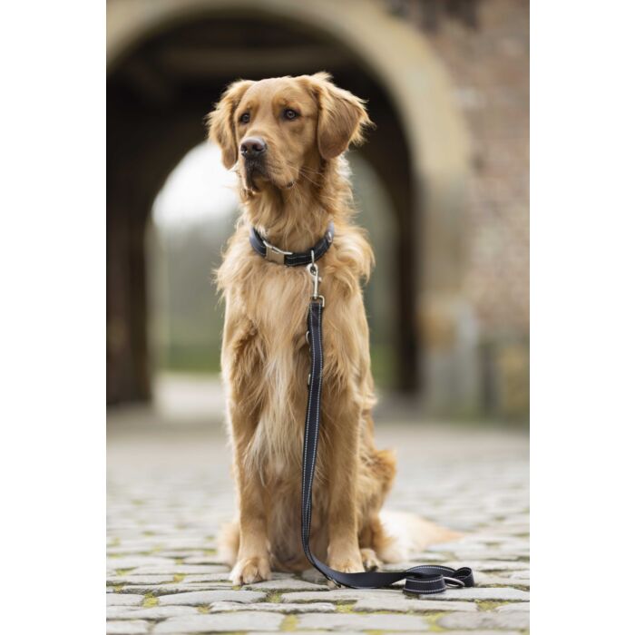 Dogs trainingsriem Anam Cara zwart is een verstelbare nylon hondenriem van 200 cm met reflecterende details. Ideaal voor hondentraining en dagelijkse wandelingen, sterk, comfortabel en veilig.
