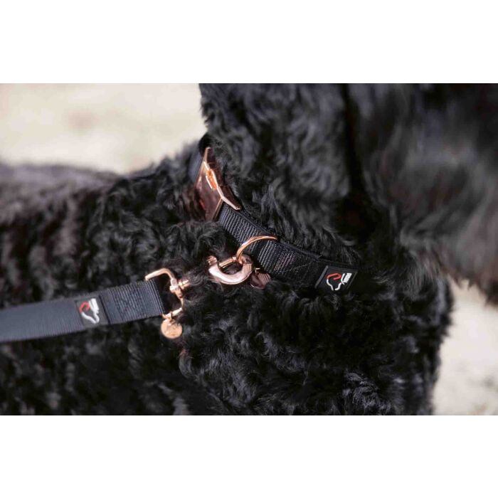 Dogs trainingsriem Anam Cara zwart rosegold is een verstelbare nylon hondenriem van 200 cm met reflecterende details en luxe rosegold afwerking. Ideaal voor hondentraining en dagelijkse wandelingen.