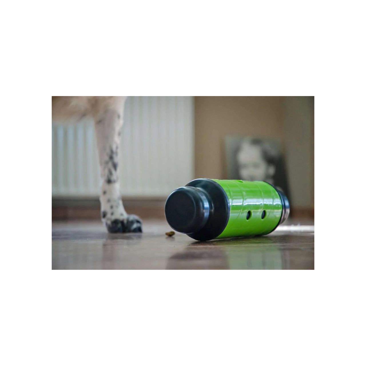 Essen Sie langsam, leben Sie länger, füttern und behandeln Sie Roller Green
