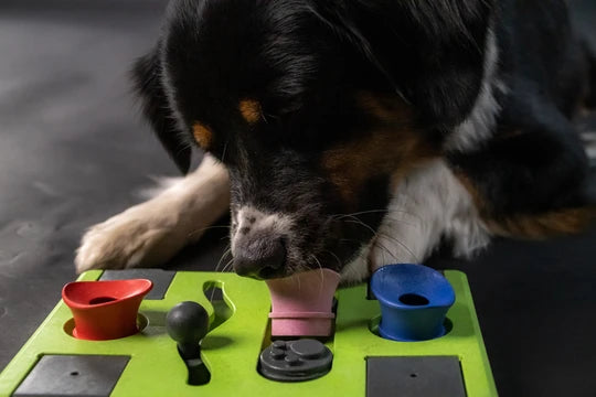 Eat Slow Live Longer Hondenpuzzel Rectangle