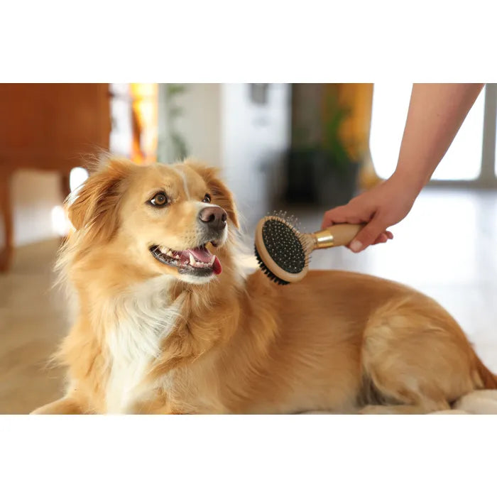 De MagicBrush dubbele borstel verwijdert losse haren en klitten en geeft glans aan de vacht. Flexibele kop, ergonomisch. Nu bij Livin Dog Shop!
