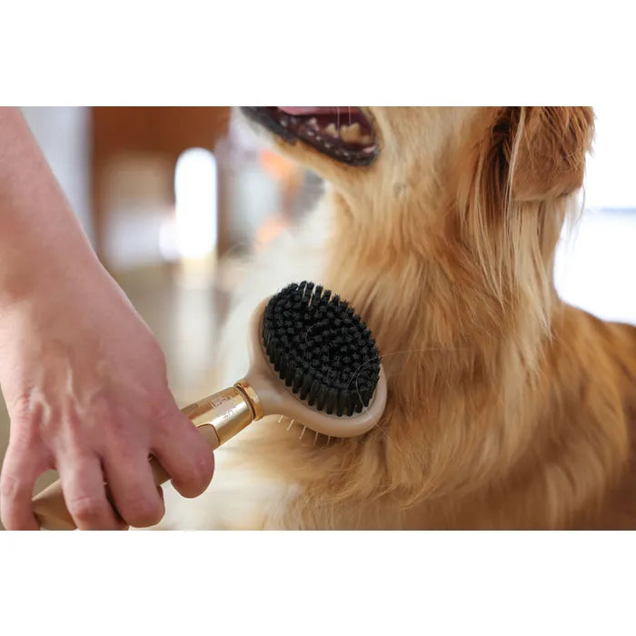 De MagicBrush dubbele borstel verwijdert losse haren en klitten en geeft glans aan de vacht. Flexibele kop, ergonomisch. Nu bij Livin Dog Shop!