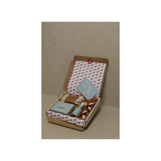 Frenky Lewis – Geschenkbox Frühlingsnotizen