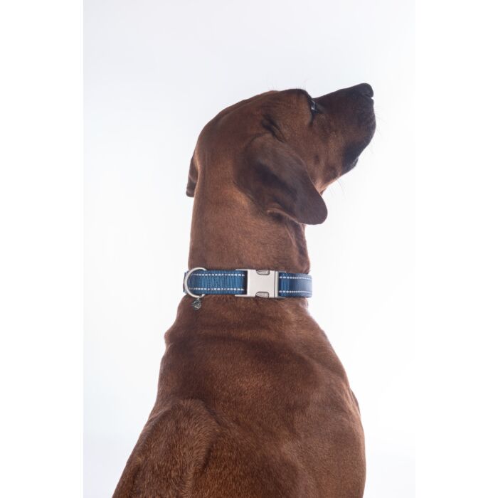 Stijlvolle hondenhalsband Anam Cara van sterk nylon in donkerblauw . Traploos verstelbaar, reflecterend en comfortabel met softopreen. Verkrijgbaar voor kleine en grote honden. Bestel bij Livin Dog Shop.