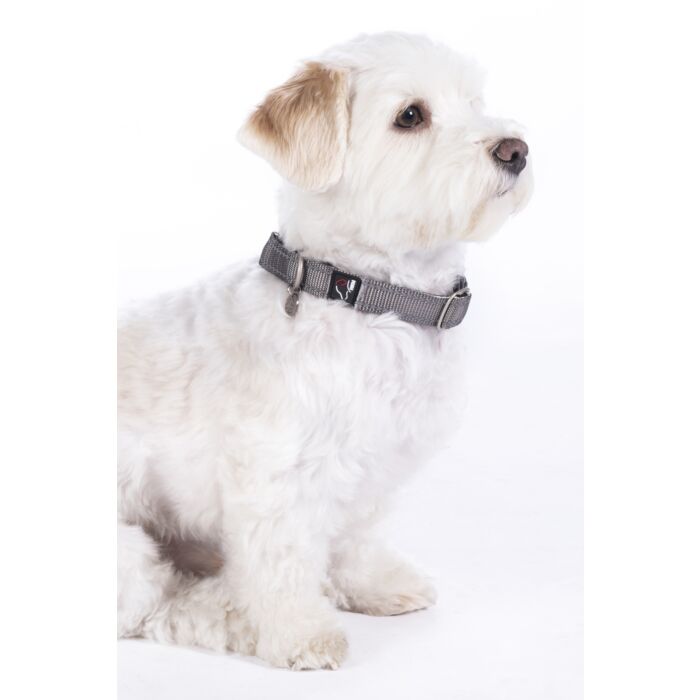 Stijlvolle hondenhalsband Anam Cara van sterk nylon in taupe. Traploos verstelbaar, reflecterend en comfortabel met softopreen. Verkrijgbaar voor kleine en grote honden. Bestel bij Livin Dog Shop.
