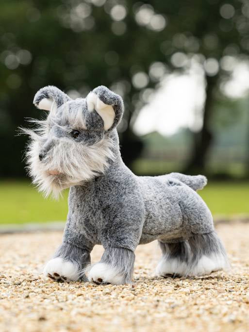 Lemieux Toy Puppy (Schnauzer) Cooper