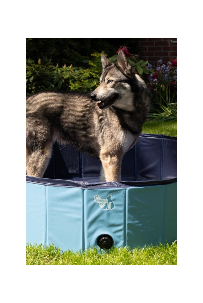 Coolpets Hundepool 80 cm x 20 cm