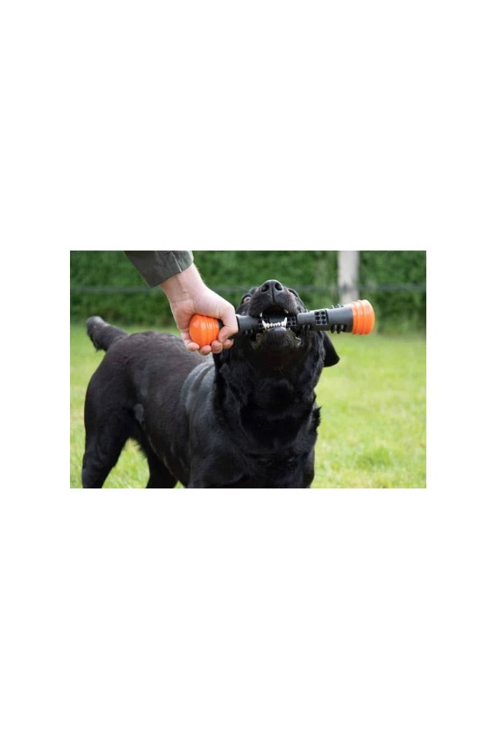 Dog Comets Meteor Throwing stick orange L