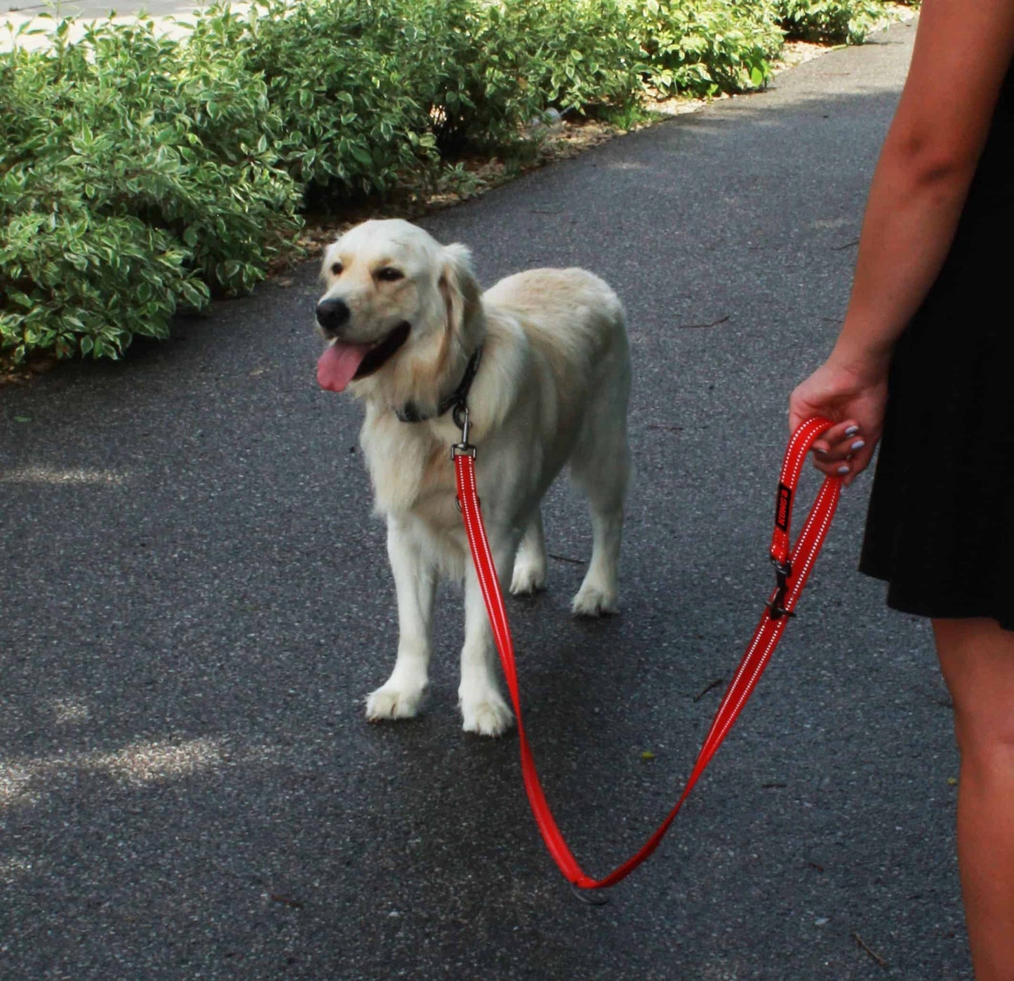 Kong Adjustable leash Black