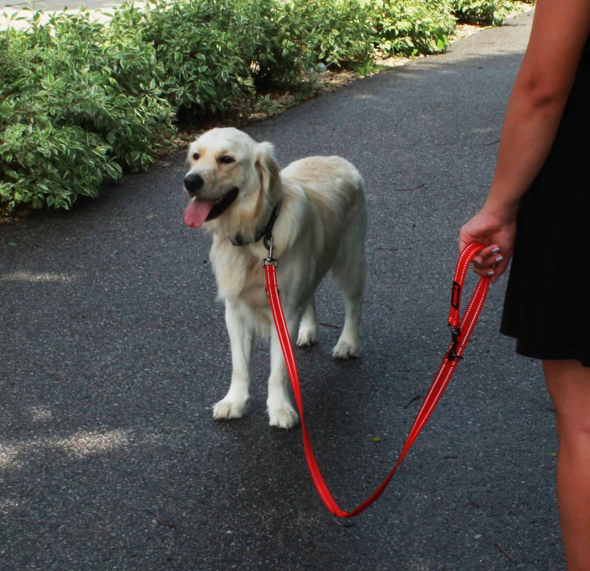 Kong Adjustable leash Black