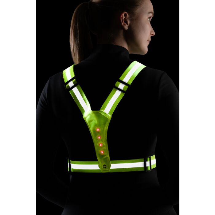 Veilig wandelen met je hond of puppy! LED veiligheidsvest, 360° zicht, reflecterend, waterdicht en USB-oplaadbaar. Bestel bij Livin Dog Shop voor veilige en zichtbare wandelingen.