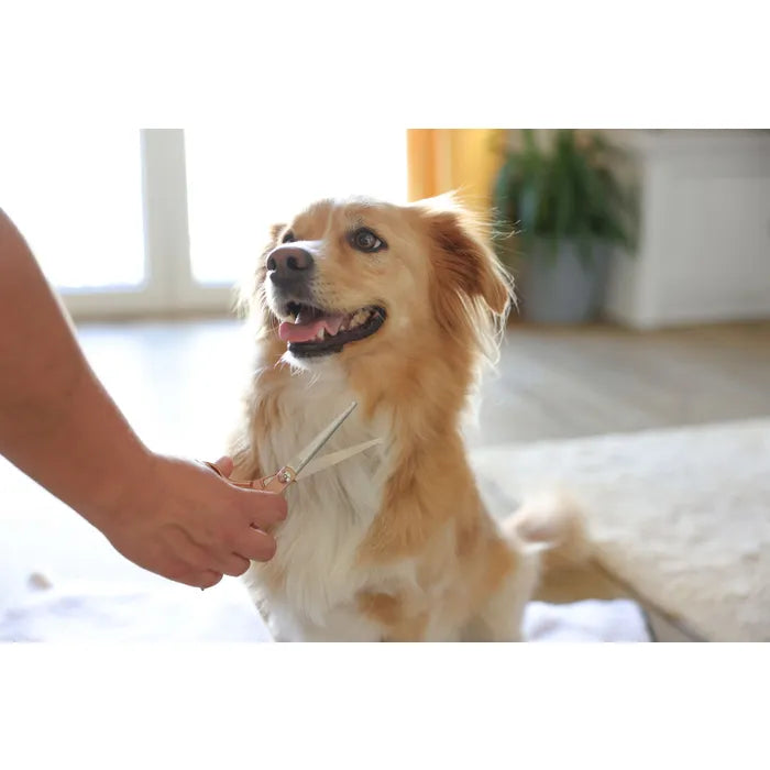 Verzorg de vacht van je hond of kat professioneel met de MagicBrush grooming-schaar. Extra gehard RVS lemmet, instelbaar en zacht voor de huid. Bij Livin Dog Shop!
(163 tekens, evt. inkorten)