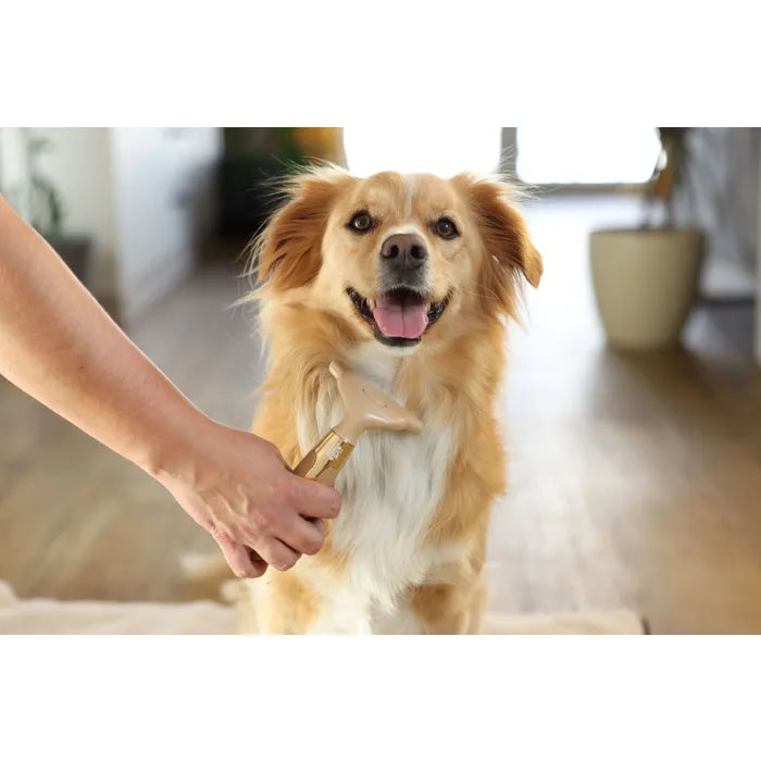 Minder haren in huis: de MagicBrush vachthaarverwijderaar dunt de onderwol uit en geeft glans aan de vacht. Bekijk hem bij Livin Dog Shop!
(151 tekens)