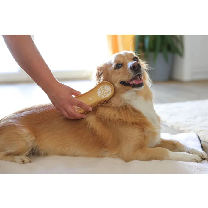 Magic Brush Dog Soft sandstorm hondenborstel kopen? Zachte borstel voor gevoelige honden en puppy’s. Wasbaar en duurzaam. Verkrijgbaar bij Livin Dog Shop.
