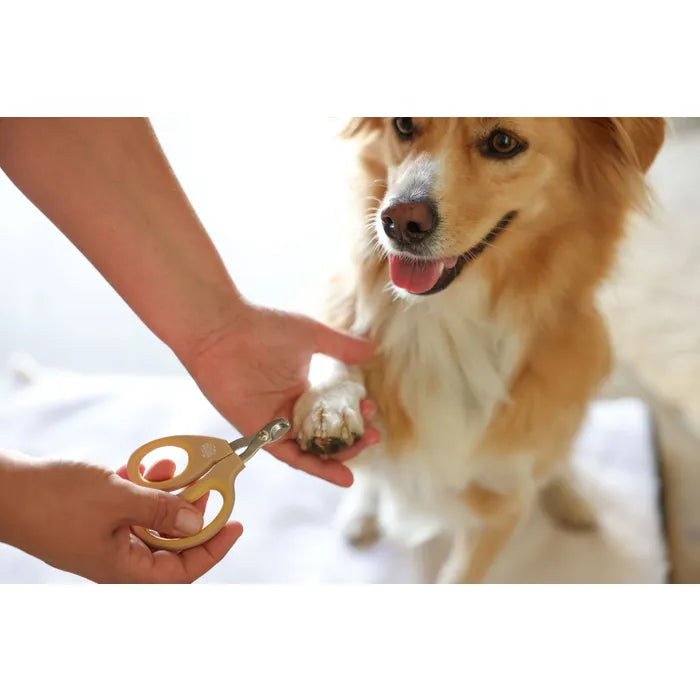Verzorg de nageltjes van je hond, kat of knaagdier veilig met de MagicBrush nagelschaar. Afgerond RVS lemmet en zachte TPR-grip. Nu bij Livin Dog Shop!