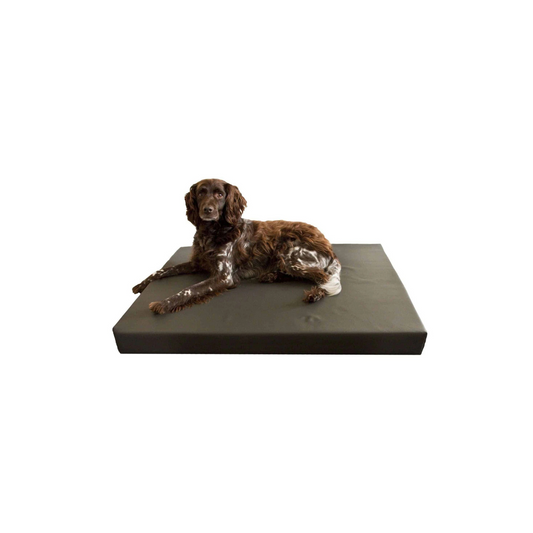 Hip dysplasia Orthopedic dog bed - gray
