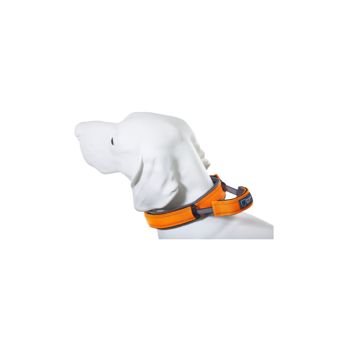Dog collar ArmoredTech Orange
