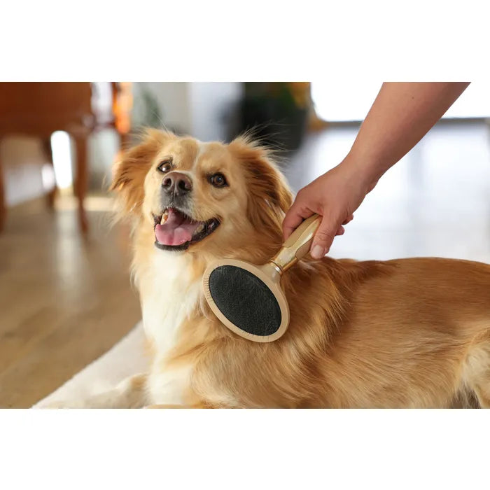 De MagicBrush plukborstel verwijdert losse haren en lichte verviltingen effectief. Flexibele kop, ergonomisch en licht. Nu bij Livin Dog Shop!