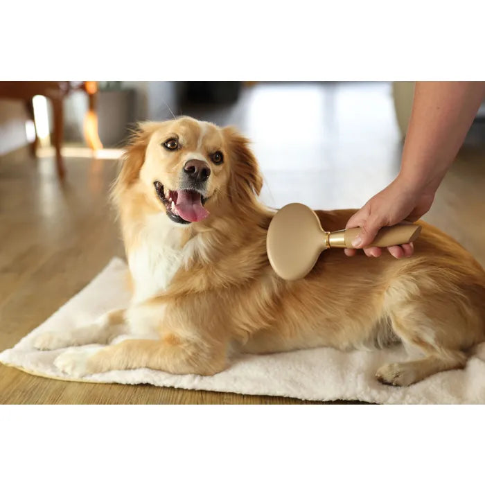 De MagicBrush plukborstel verwijdert losse haren en lichte verviltingen effectief. Flexibele kop, ergonomisch en licht. Nu bij Livin Dog Shop!