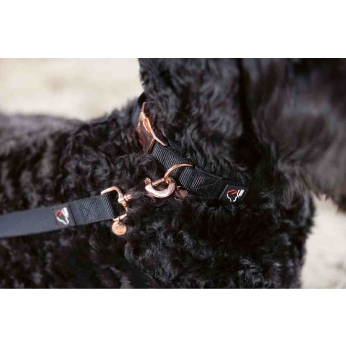Stijlvolle hondenhalsband Anam Cara van sterk nylon in zwart met rosegoud. Traploos verstelbaar, reflecterend en comfortabel met softopreen. Verkrijgbaar voor kleine en grote honden. Bestel bij Livin Dog Shop.