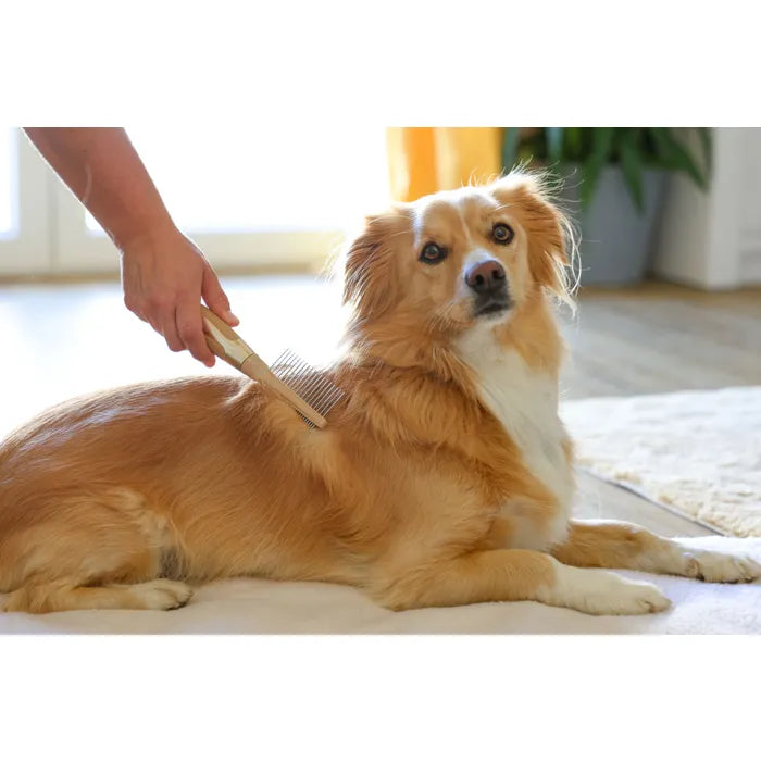 Ontwar klitten en verwijder onderwol met de MagicBrush vachtkam fijn/grof. Ergonomisch, licht en veilig voor hond en kat. Nu bij Livin Dog Shop!