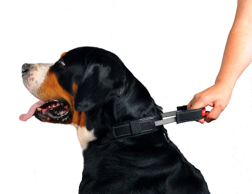 Patento Pet Sport Halsband Zwart